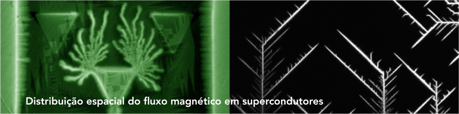 Prêmios CNPq Fotografia - Ciência e Arte (2013 e 2011). Fluxo magnético em supercondutores.